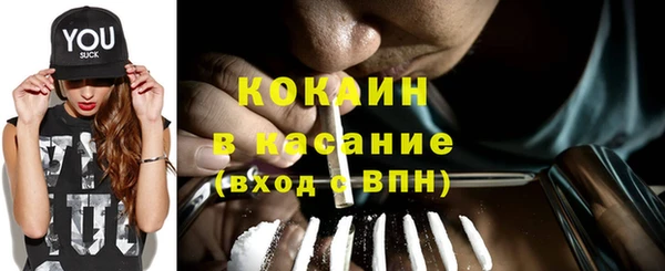 СК Сафоново
