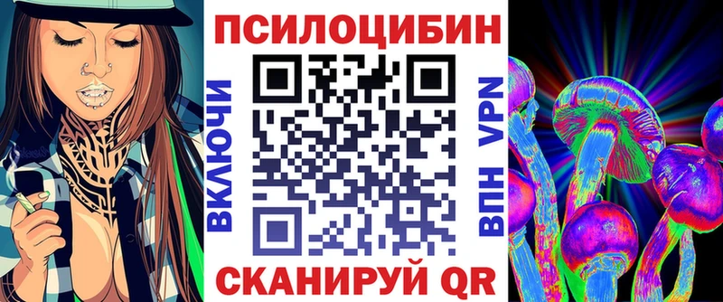 hydra ТОР  Москва  Псилоцибиновые грибы Psilocybe  купить  